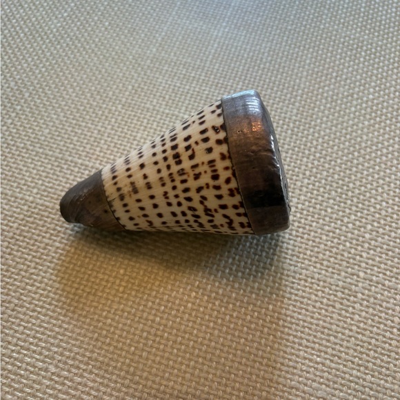 Decorative Cone Shell - Picture 5 of 5